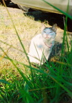 Scan 12.jpeg